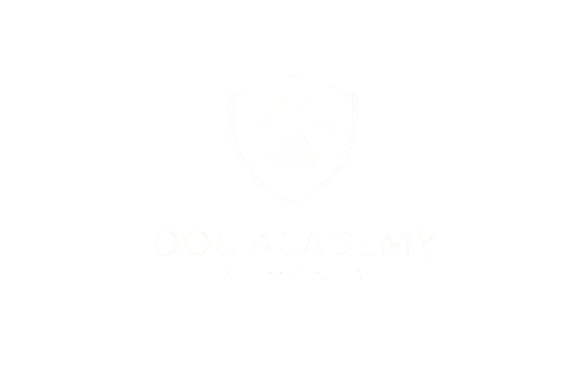 DAA Logo Black White BG - Edited